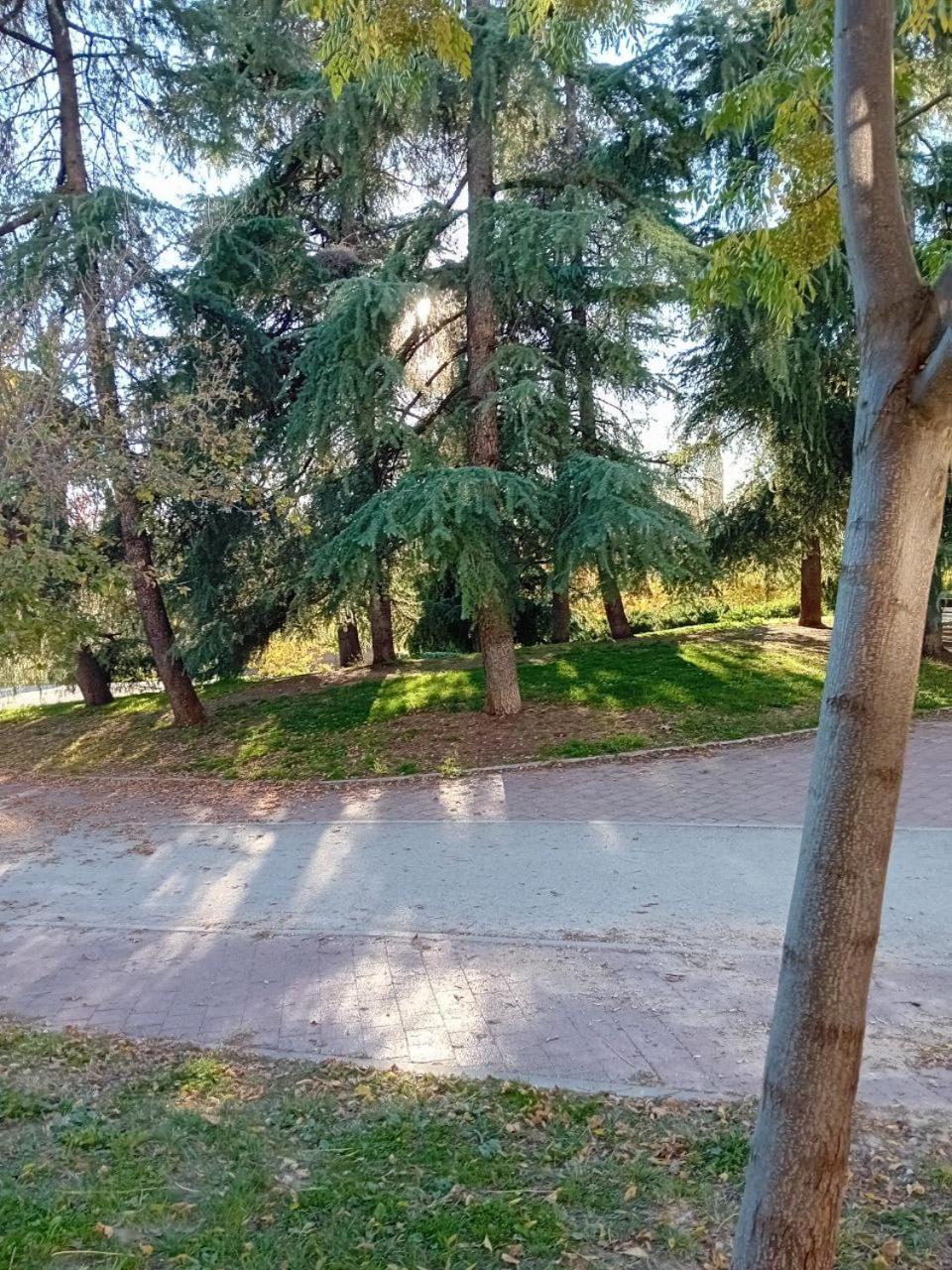 Smart Suite Madryt Zewnętrze zdjęcie
